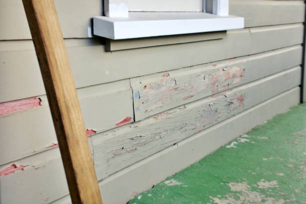 Best Custom Siding Design  in Crescent City, CA